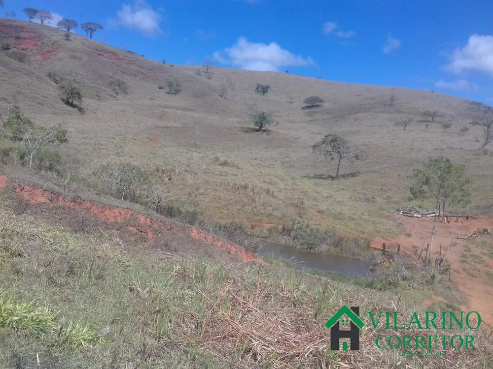 Fazenda, 294 hectares - Foto 4