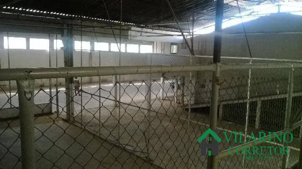Depósito-Galpão, 1000 m² - Foto 14