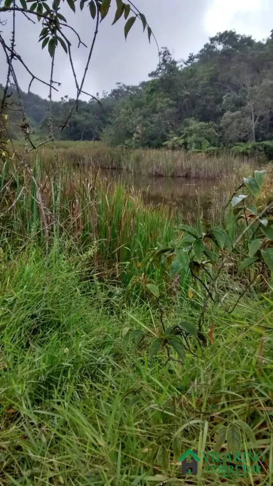 Sítio, 1 quarto, 11 hectares - Foto 1