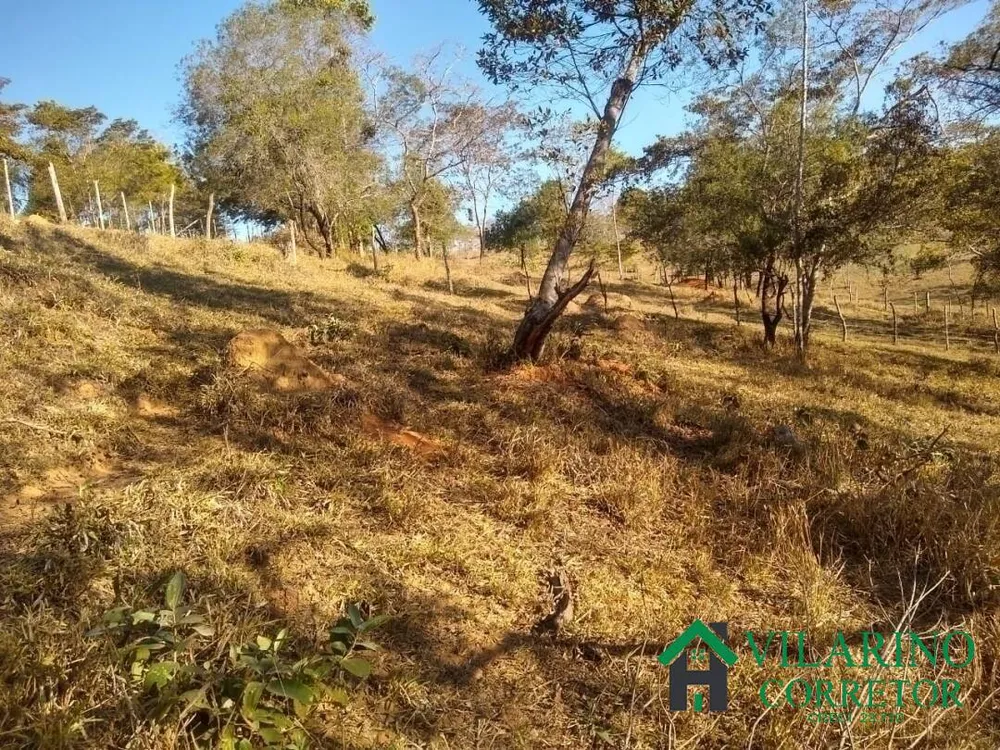 Sítio, 1 quarto, 11 hectares - Foto 2