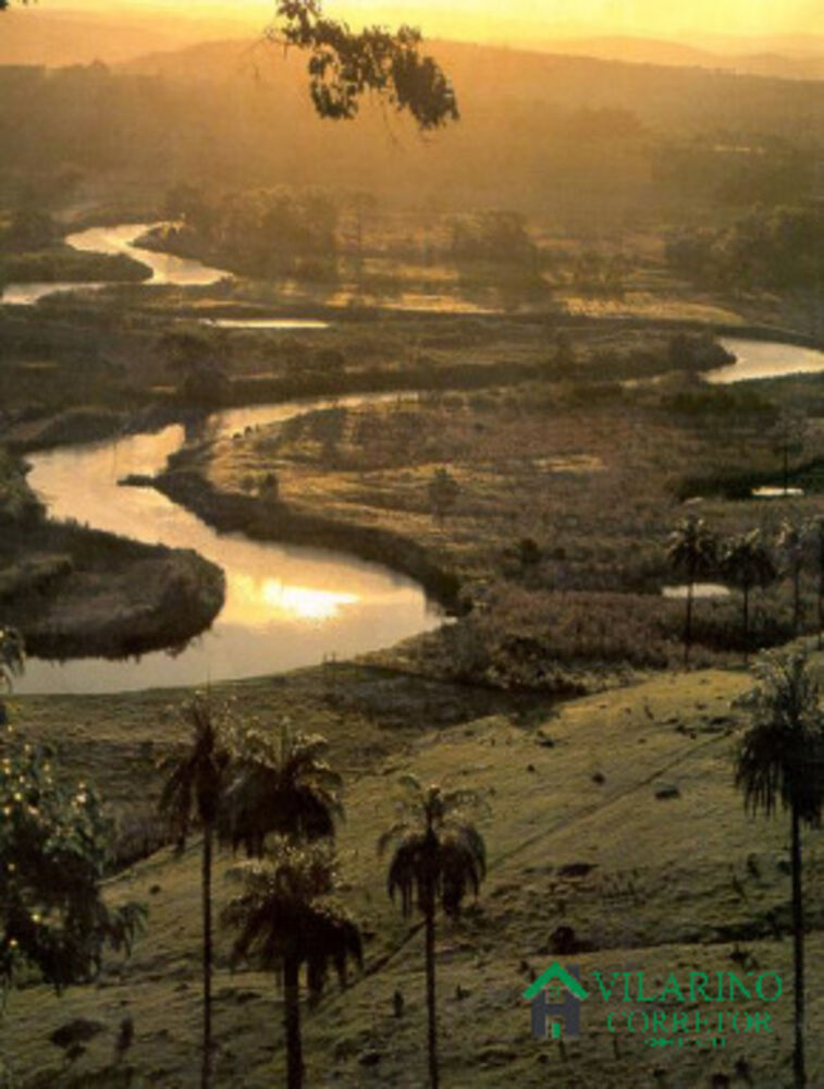 Terreno, 17 hectares - Foto 3