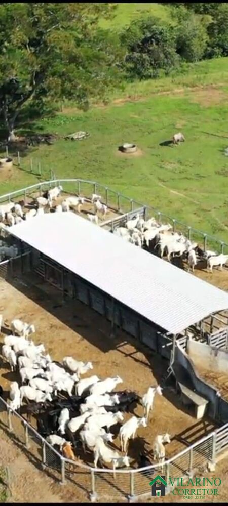 Terreno, 404 m² - Foto 7