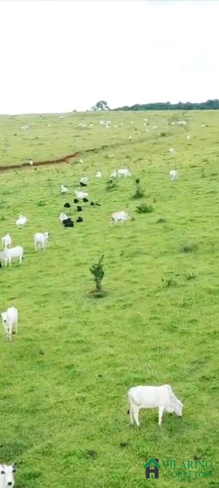 Terreno, 404 m² - Foto 6