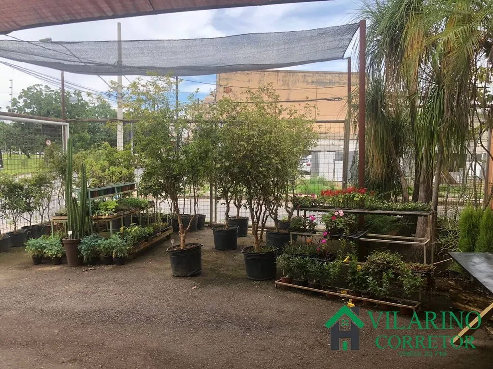 Loja-Salão, 360 m² - Foto 4