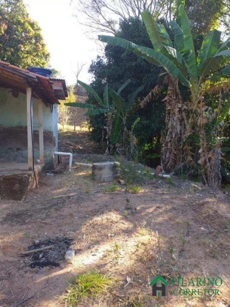 Fazenda à venda com 3 quartos, 80m² - Foto 7