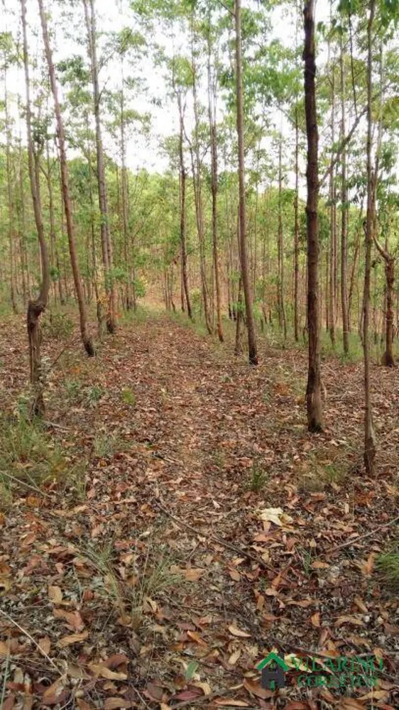 Terreno, 2 hectares - Foto 11