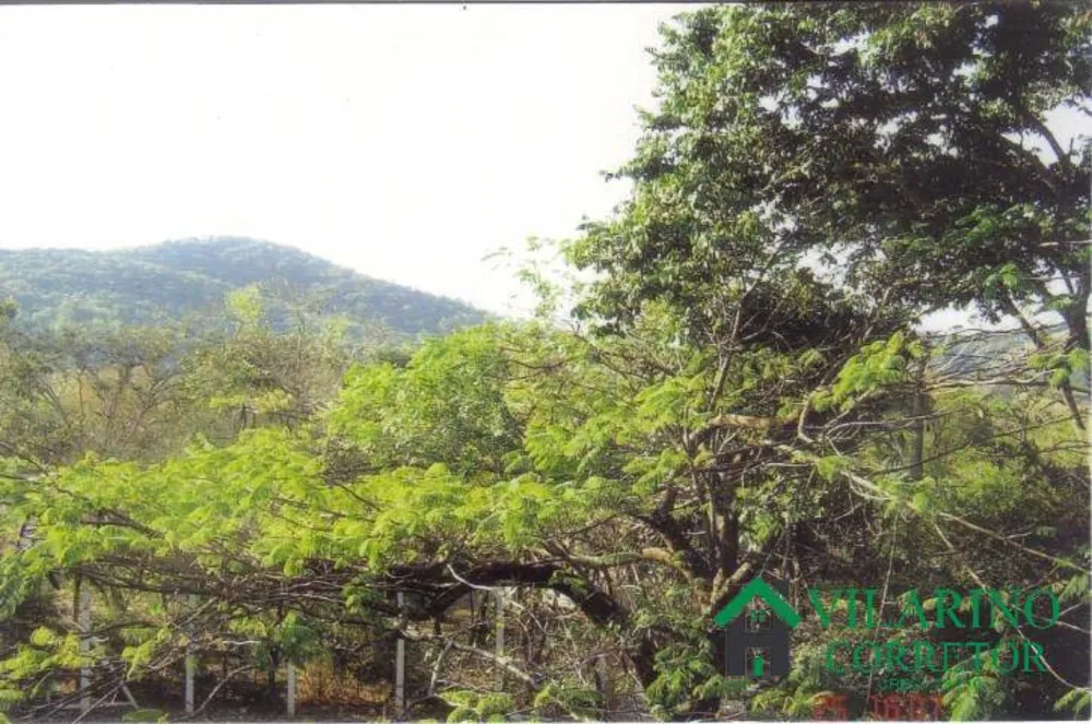 Sítio, 6 quartos, 2 hectares - Foto 14