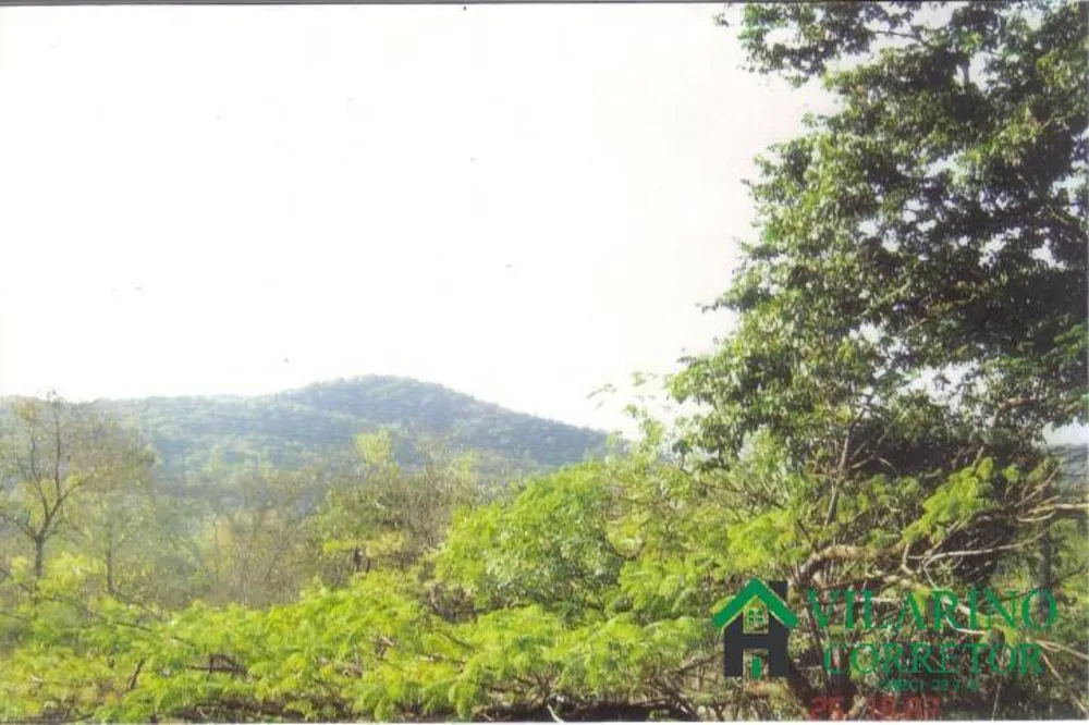 Sítio, 6 quartos, 2 hectares - Foto 12