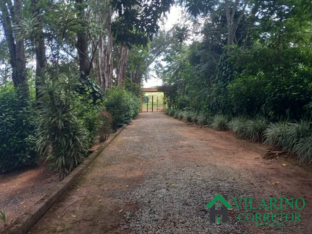 Fazenda, 196 hectares - Foto 4