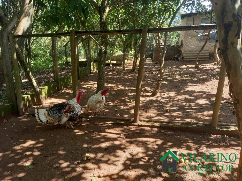 Fazenda, 196 hectares - Foto 3