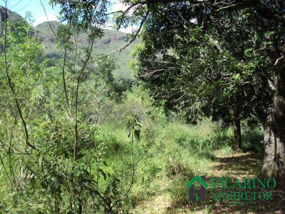 Terreno, 5 hectares - Foto 3