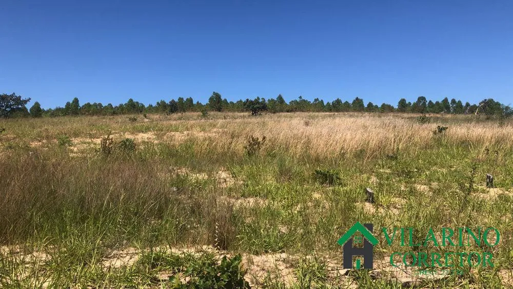 Sítio, 4 quartos, 49 hectares - Foto 6