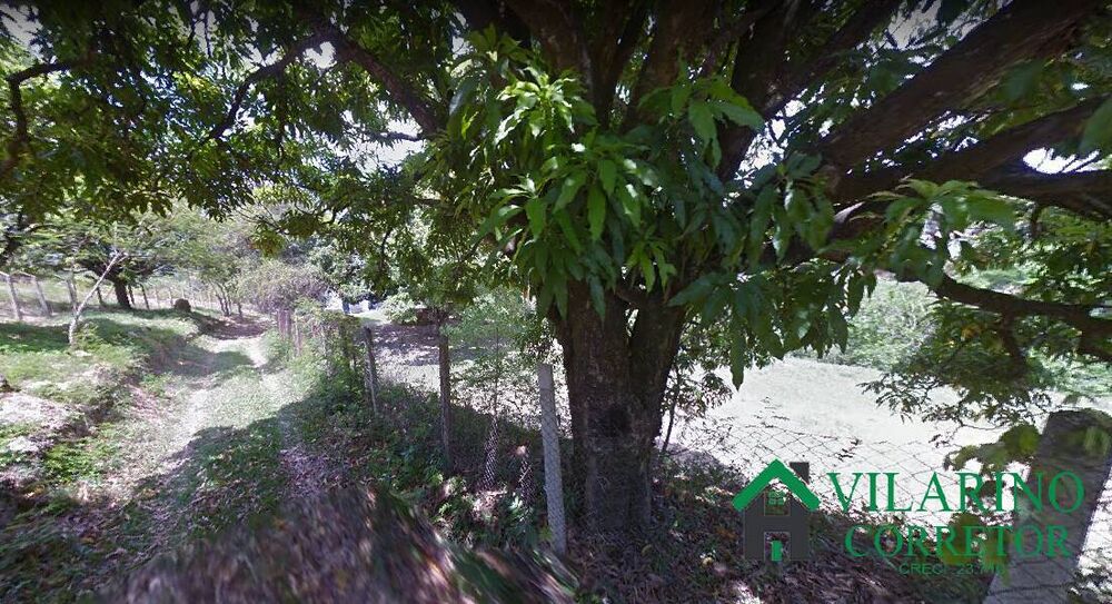 Sítio, 2 quartos, 7000 m² - Foto 3