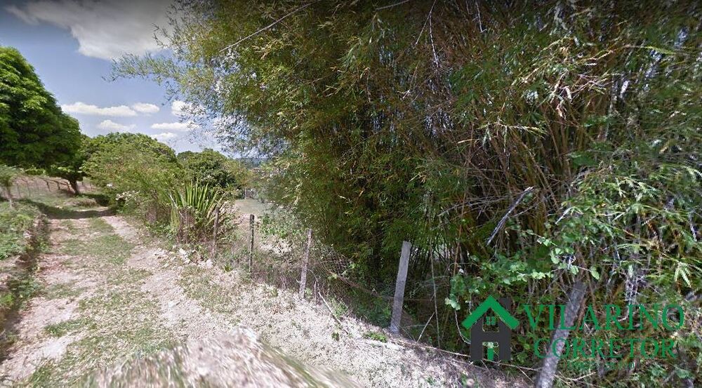 Sítio, 2 quartos, 7000 m² - Foto 2