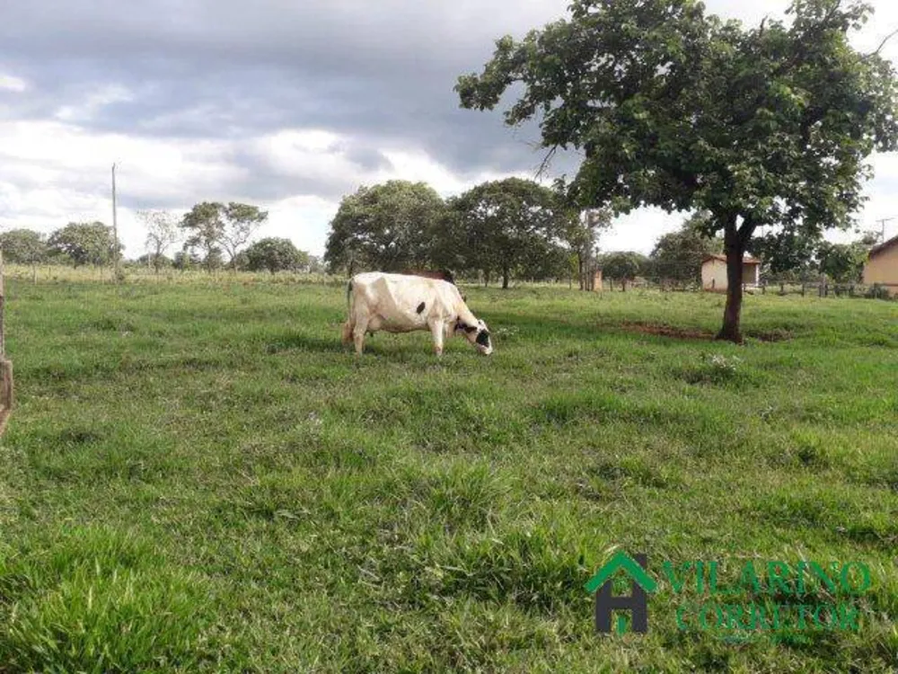 Fazenda, 24 hectares - Foto 2