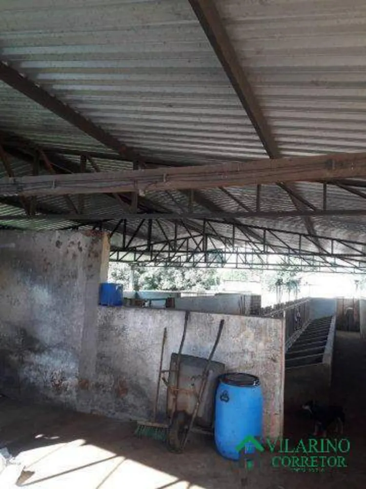 Fazenda, 24 hectares - Foto 4