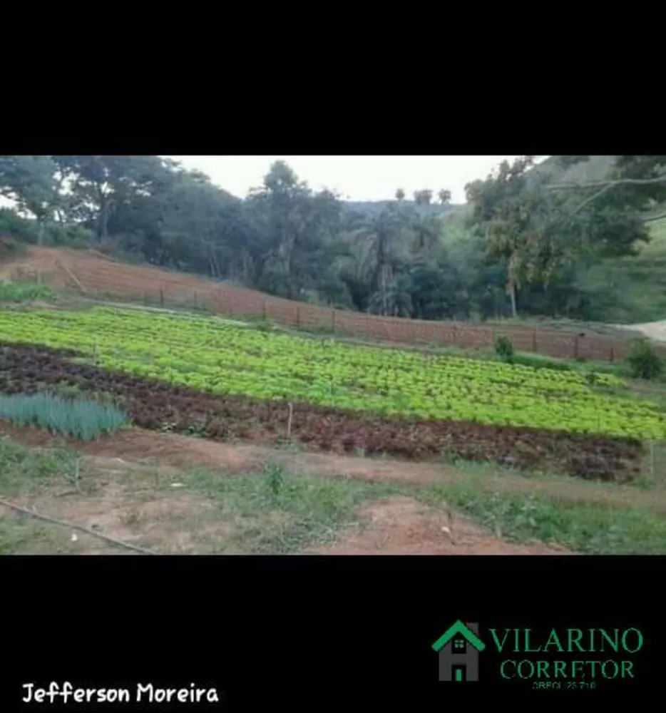 Sítio, 2 quartos, 4 hectares - Foto 2