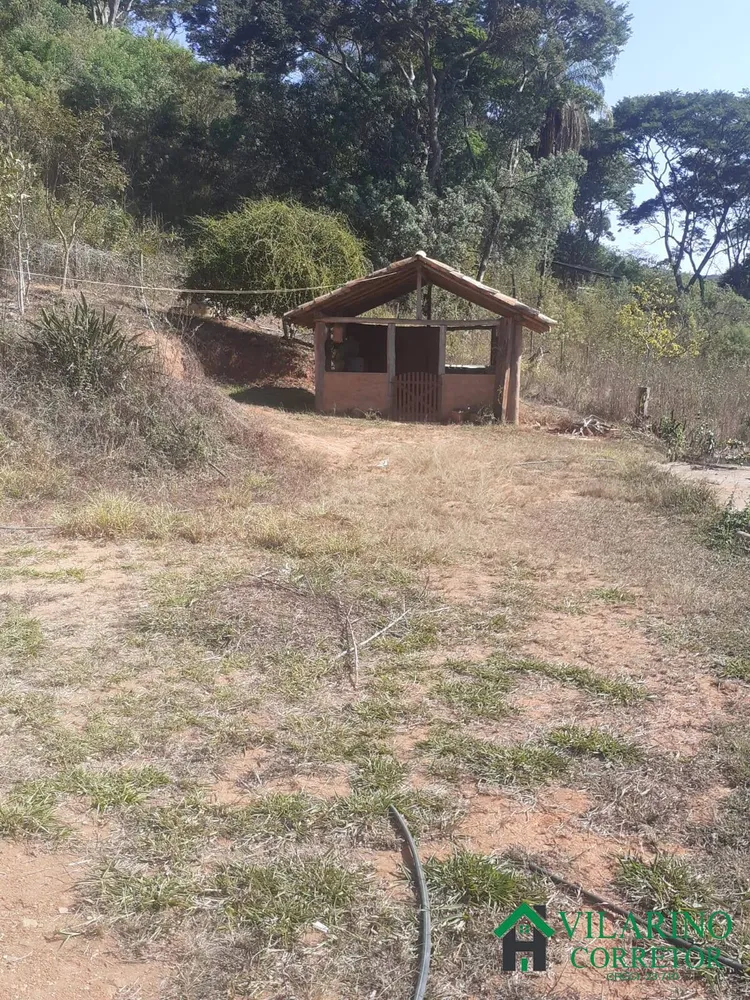 Sítio, 2 quartos, 4 hectares - Foto 5