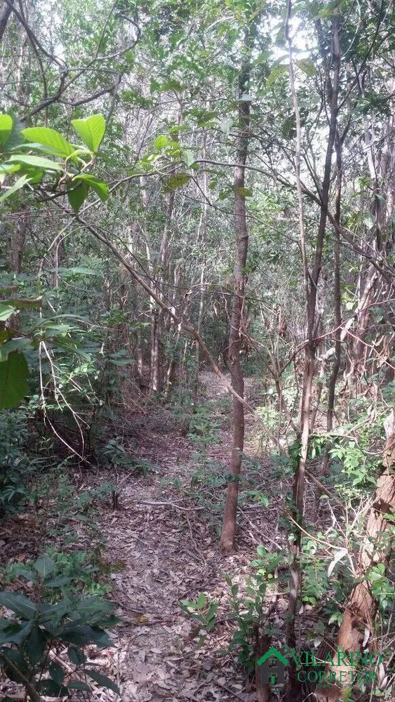 Terreno, 2500 m² - Foto 10