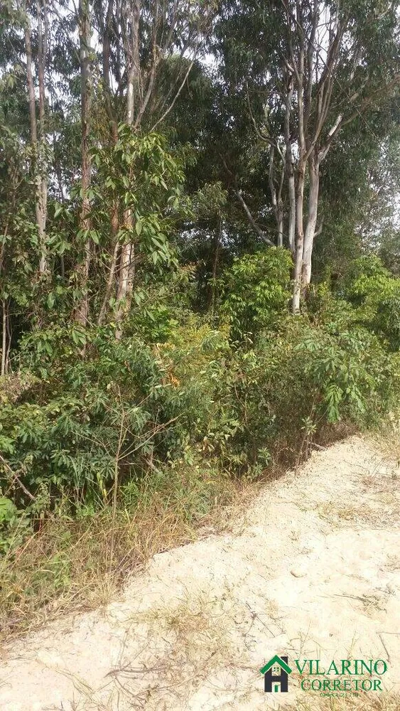 Terreno, 2500 m² - Foto 12