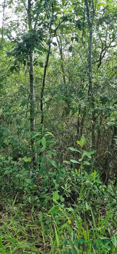 Terreno à venda, 10m² - Foto 4