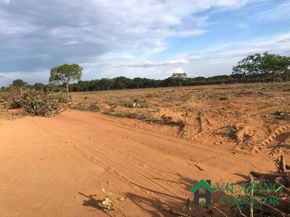 Terreno, 30 hectares - Foto 4