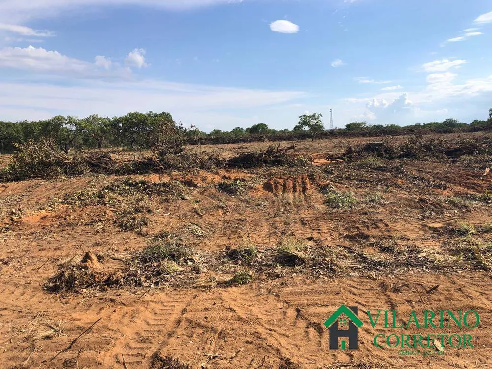 Terreno, 30 hectares - Foto 3