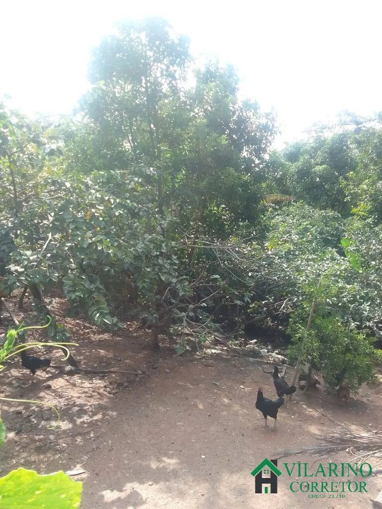 Casa, 4 quartos, 250 m² - Foto 6