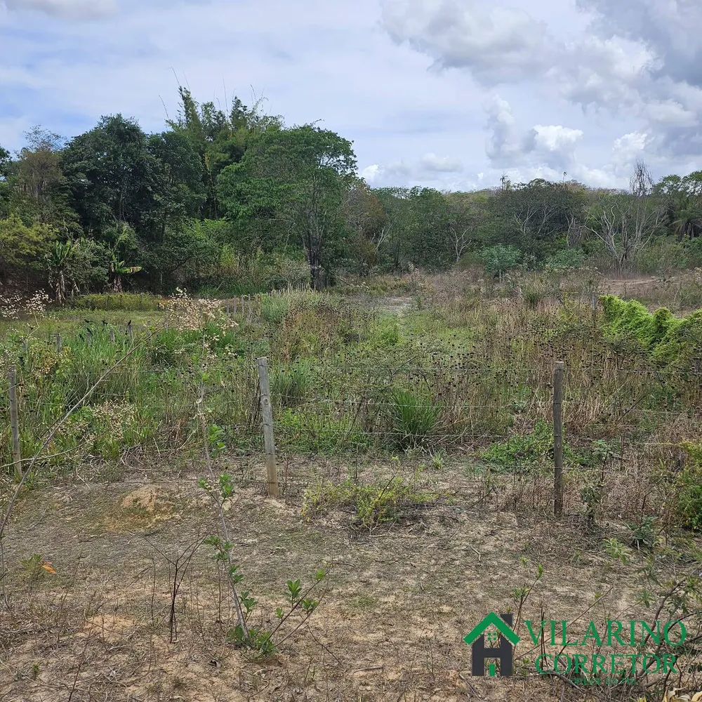 Sítio, 3 quartos, 3 hectares - Foto 4
