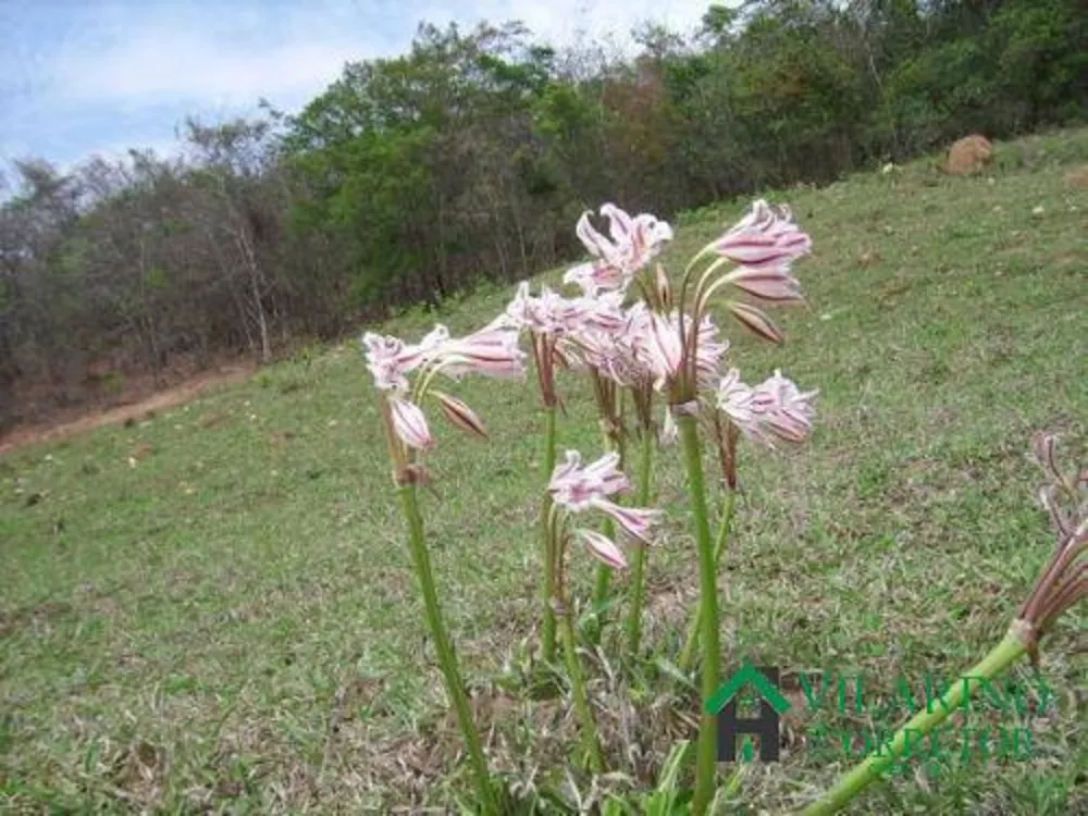 Terreno à venda, 20m² - Foto 14