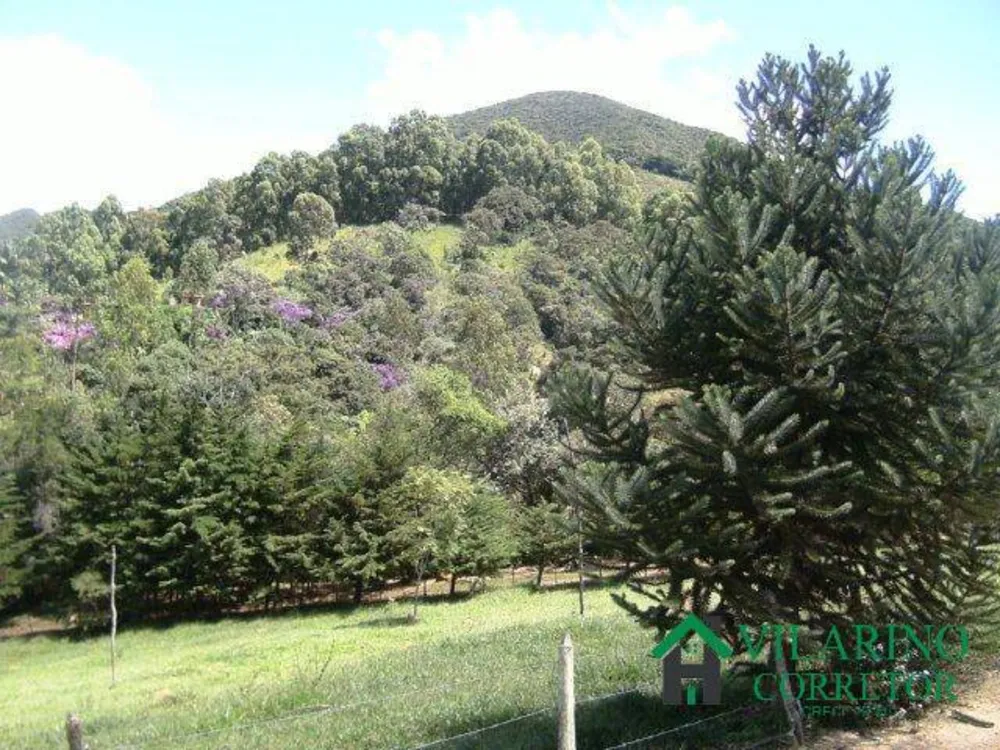 Sítio, 2 quartos, 4 hectares - Foto 2