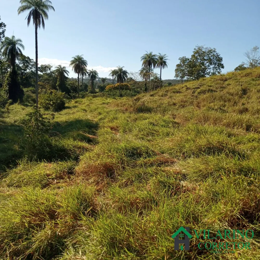 Terreno, 2 hectares - Foto 3