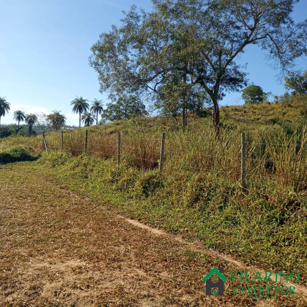 Terreno, 2 hectares - Foto 4