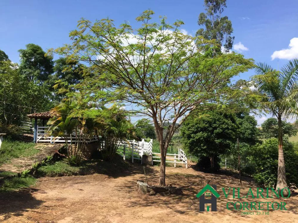 Fazenda à venda com 3 quartos, 200m² - Foto 3