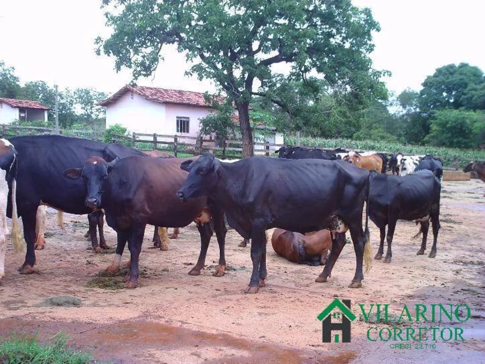 Fazenda à venda com 4 quartos, 180m² - Foto 4