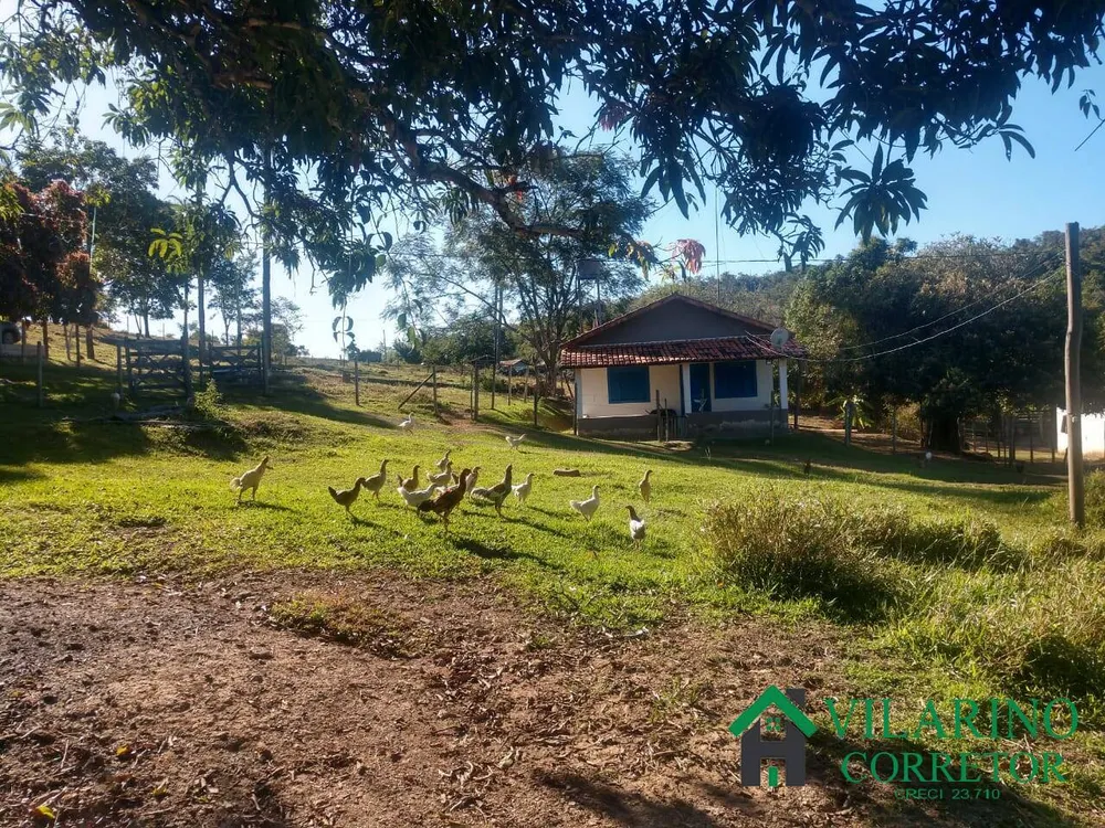 Sítio, 4 quartos, 1 hectares - Foto 3