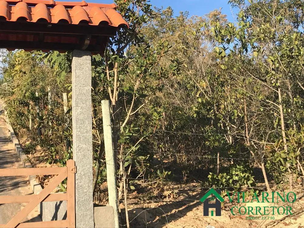 Terreno, 4500 m² - Foto 4