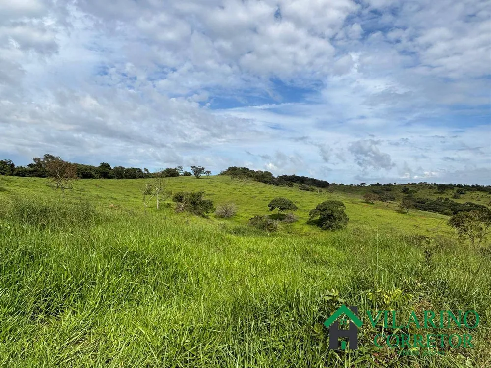 Fazenda, 73 hectares - Foto 2