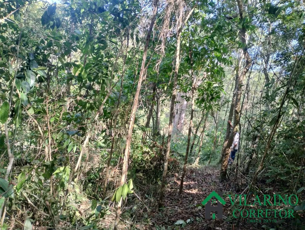 Terreno, 9 hectares - Foto 2
