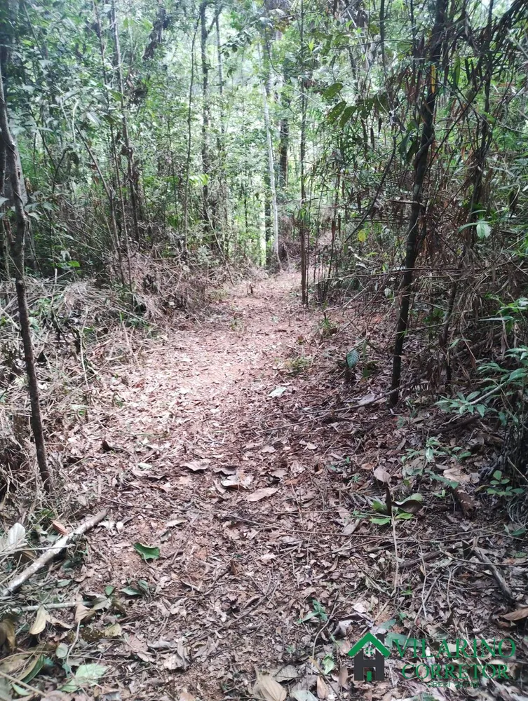 Terreno, 9 hectares - Foto 1