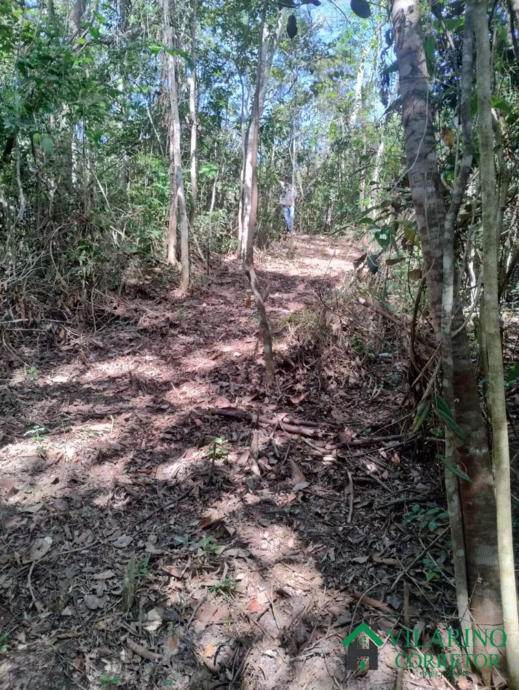 Terreno, 9 hectares - Foto 4