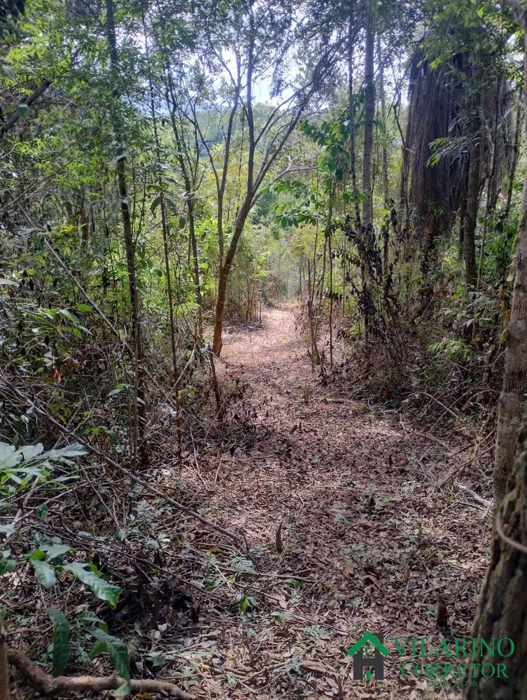 Terreno, 9 hectares - Foto 3