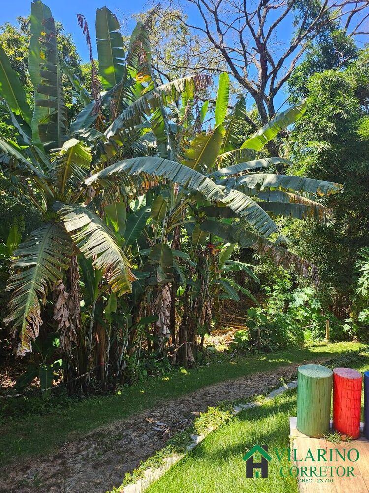 Sítio à venda com 6 quartos, 1000m² - Foto 7