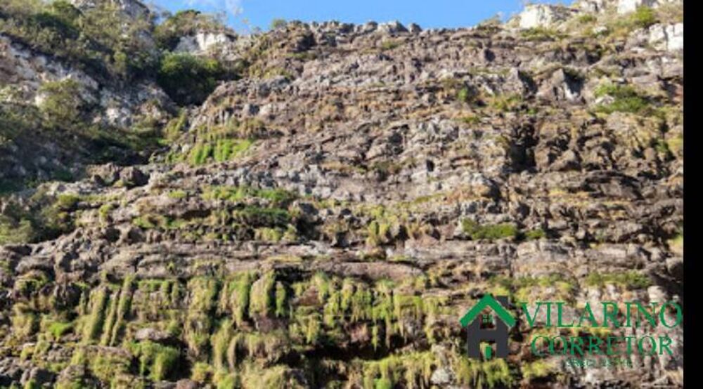 Terreno, 290 hectares - Foto 8