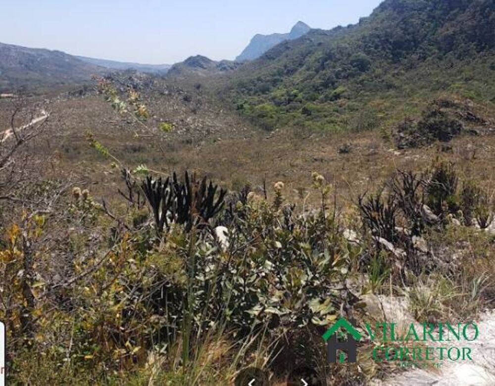 Terreno, 290 hectares - Foto 2