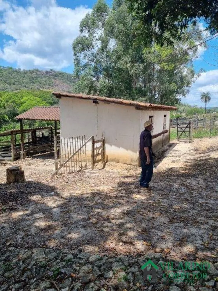 Fazenda, 11 hectares - Foto 3