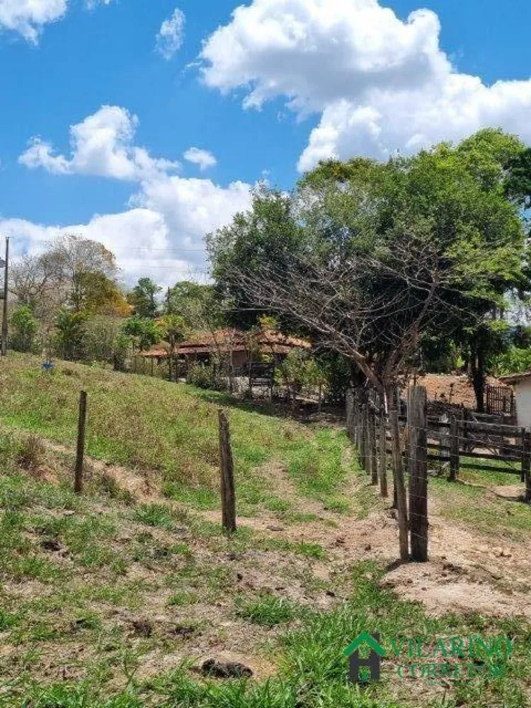 Fazenda, 11 hectares - Foto 4