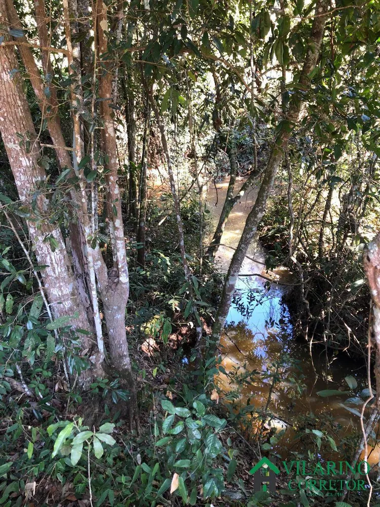 Fazenda, 15 hectares - Foto 6