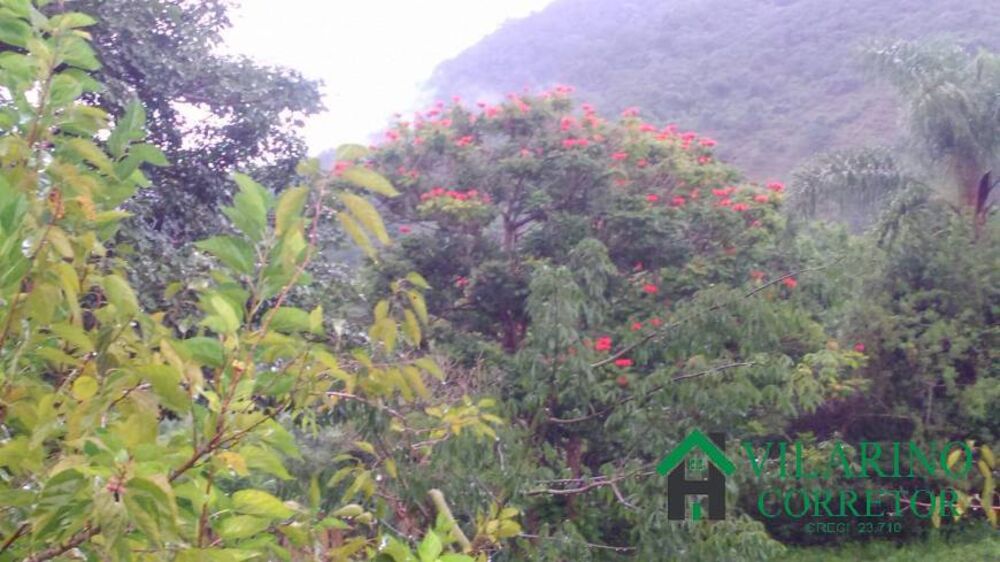 Fazenda à venda com 3 quartos, 250m² - Foto 3