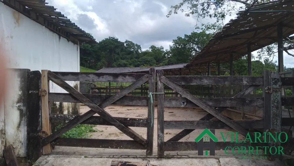 Fazenda, 16 hectares - Foto 6
